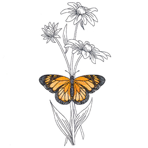 Beautiful Black-Eyed Susan and Monarch