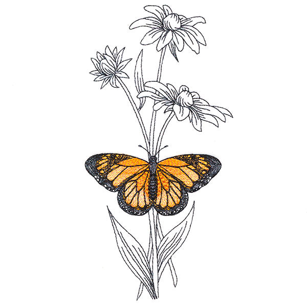 Beautiful Black-Eyed Susan and Monarch