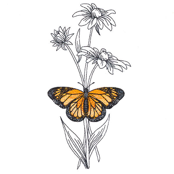 Beautiful Black-Eyed Susan and Monarch