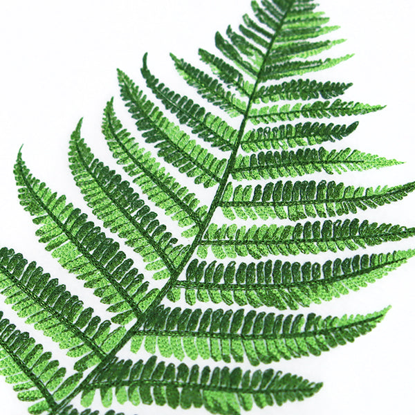 Simple Fern