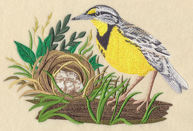 Eastern Meadowlark and Nest
