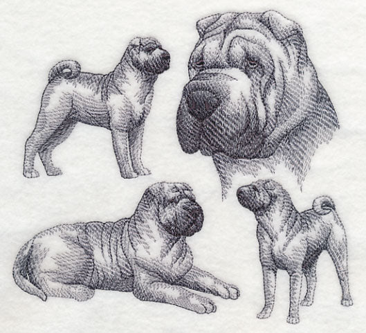 Sharpei Sketch