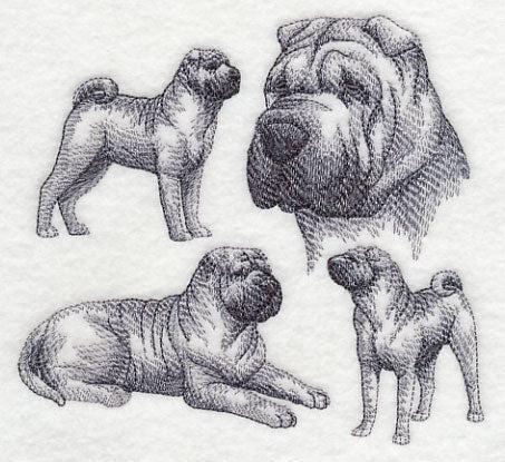 Sharpei Sketch
