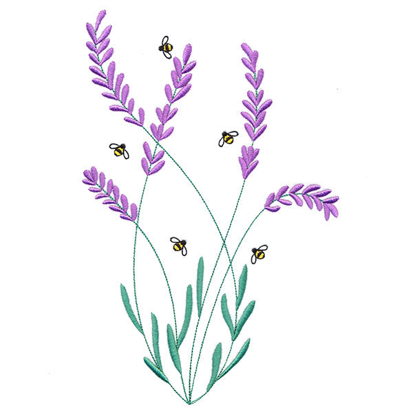Bee & Lavender Feature