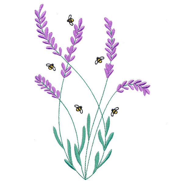 Bee & Lavender Feature