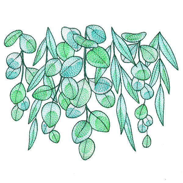 Fresh Draping Eucalyptus