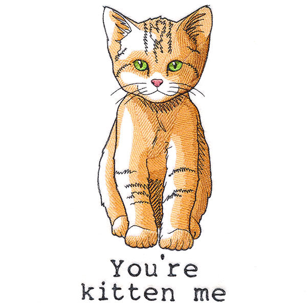You're Kitten Me