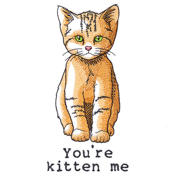You're Kitten Me