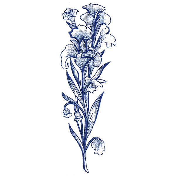 Wild and Blooming Iris