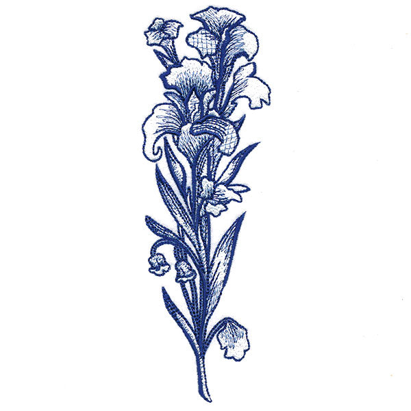 Wild and Blooming Iris