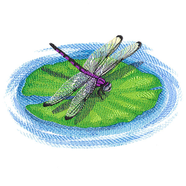 Nature's Walk Dragonfly