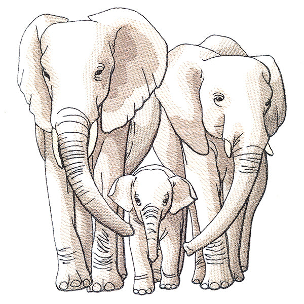 Cherished Moments - Elephant Family