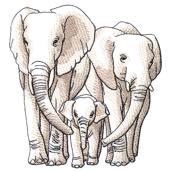 Cherished Moments - Elephant Family