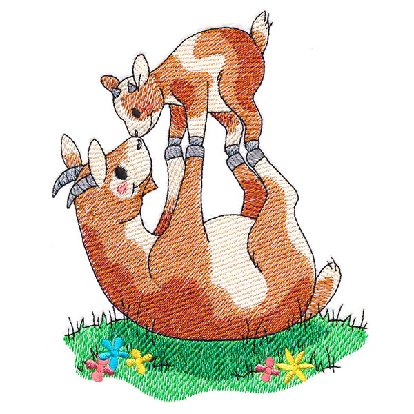 Farm Families - Goats