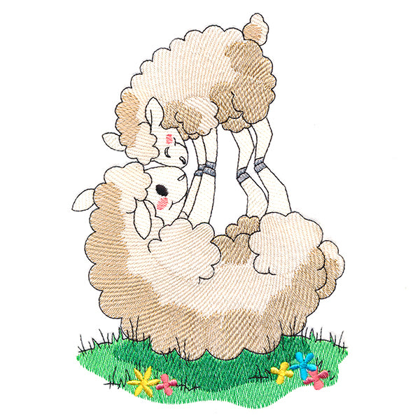 Farm Families - Sheep