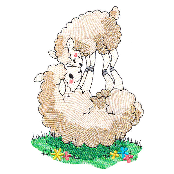 Farm Families - Sheep