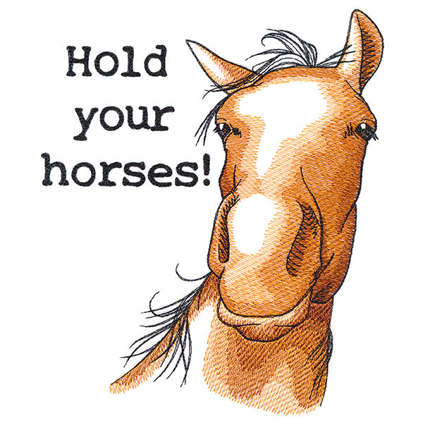 Hold Your Horses