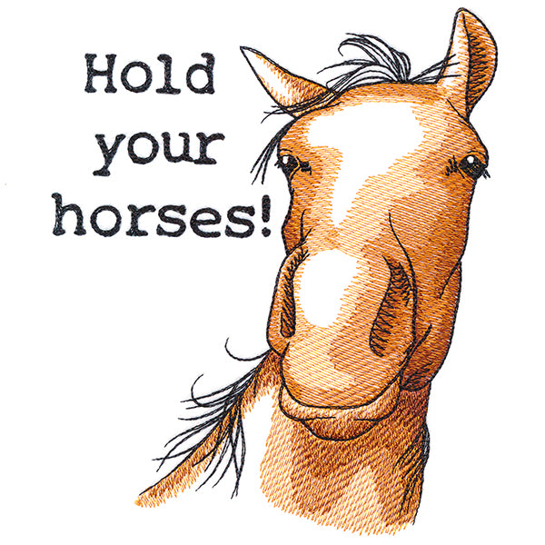 Hold Your Horses