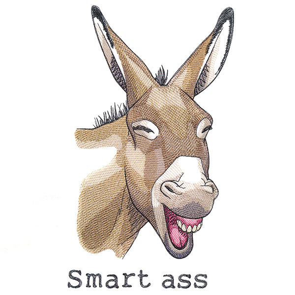 Smart Ass Donkey