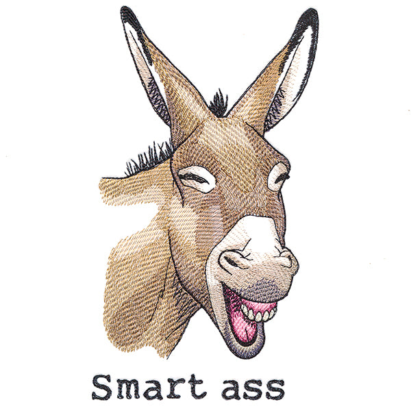 Smart Ass Donkey