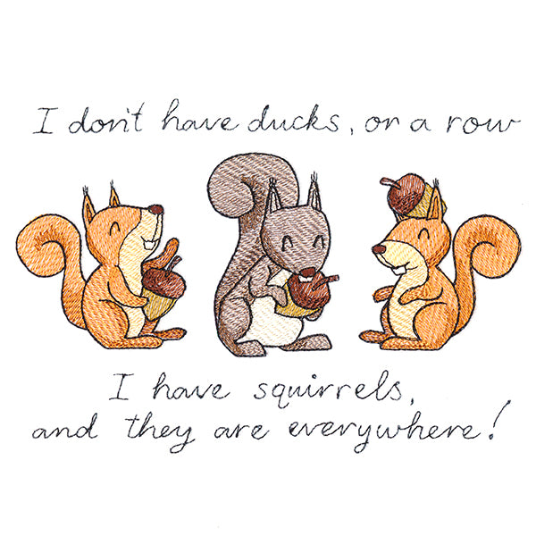 Squirrels Everywhere