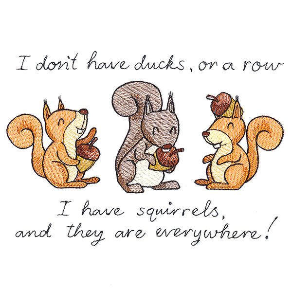 Squirrels Everywhere