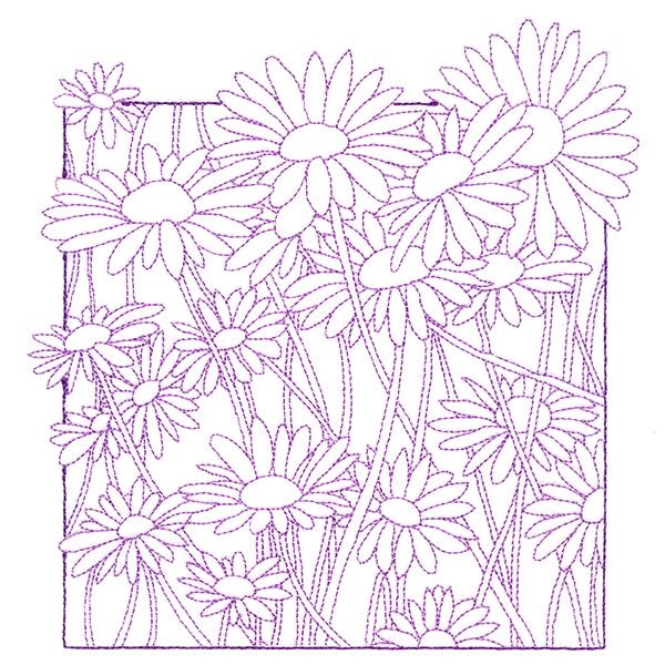 Outside the Box Blooms - Daisies
