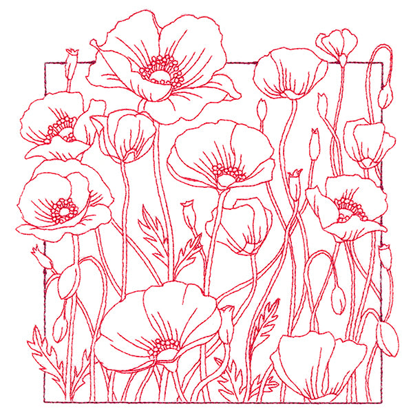 Outside the Box Blooms - Poppies