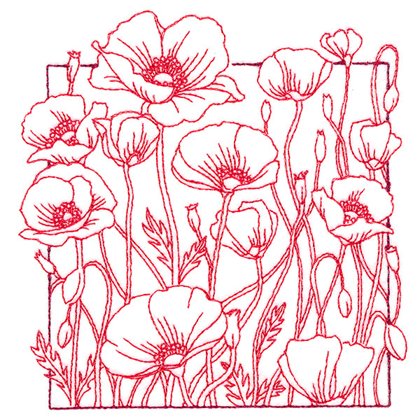 Outside the Box Blooms - Poppies