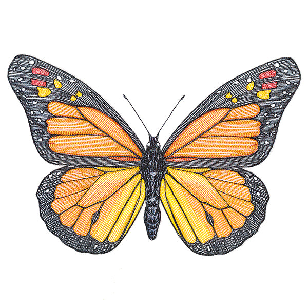 Vibrant Monarch Etching