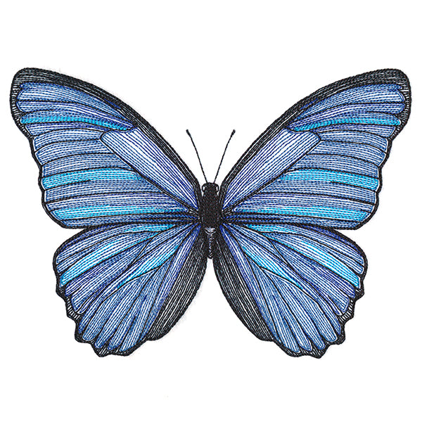 Vibrant Blue Morpho Etching
