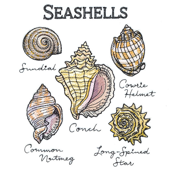 Seashells By The Seashore Chart