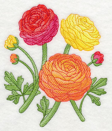 Radiant Ranunculus 2