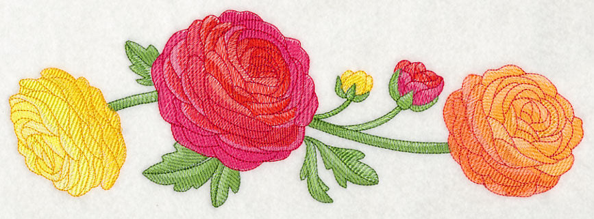 Radiant Ranunculus Border