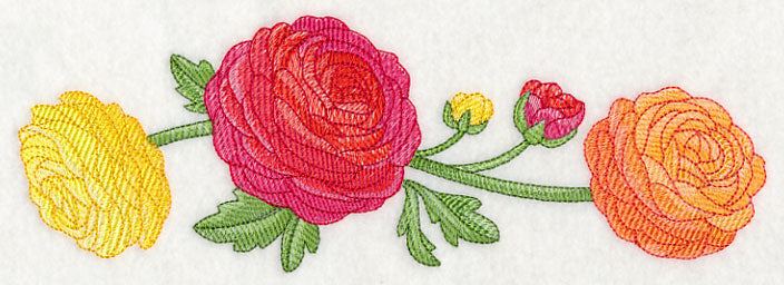 Radiant Ranunculus Border