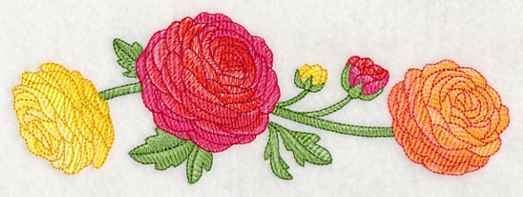 Radiant Ranunculus Border