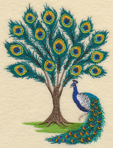 Peacock Tree
