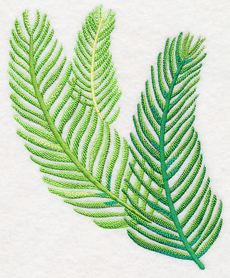 Royal Palm Fronds in Watercolor