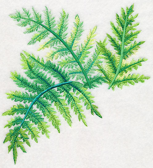 Ferns in Watercolor