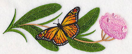 Monarchs and Milkweed Border