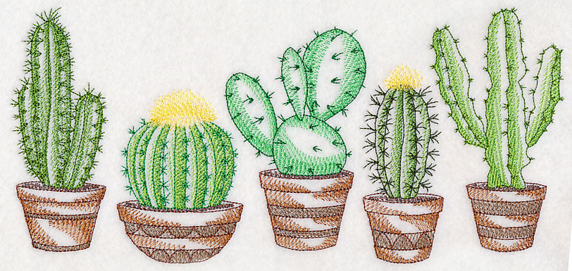 Prickly Pretty Cacti