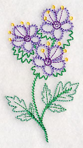 Mountain Phacelia (Vintage)