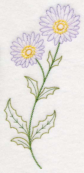Mountain Aster (Vintage)