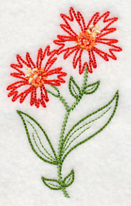 Indian Pink (Vintage)