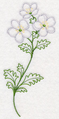 Cliff Rose (Vintage)