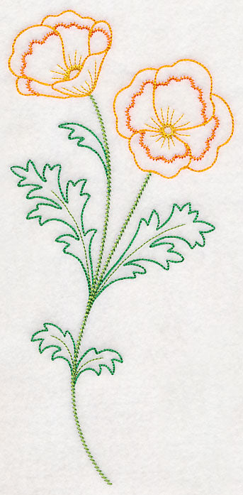 California Poppy (Vintage)