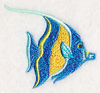 Tropical Fish 1