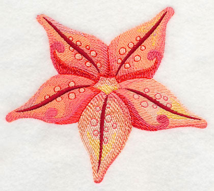 Starfish in Watercolor