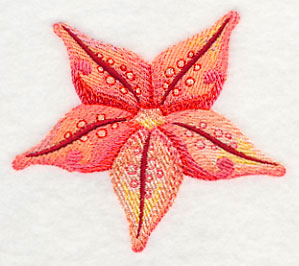 Starfish in Watercolor