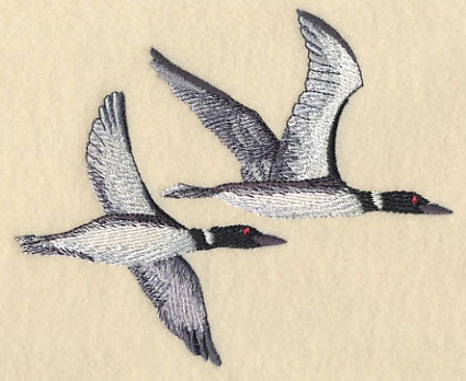 Loons in Flight